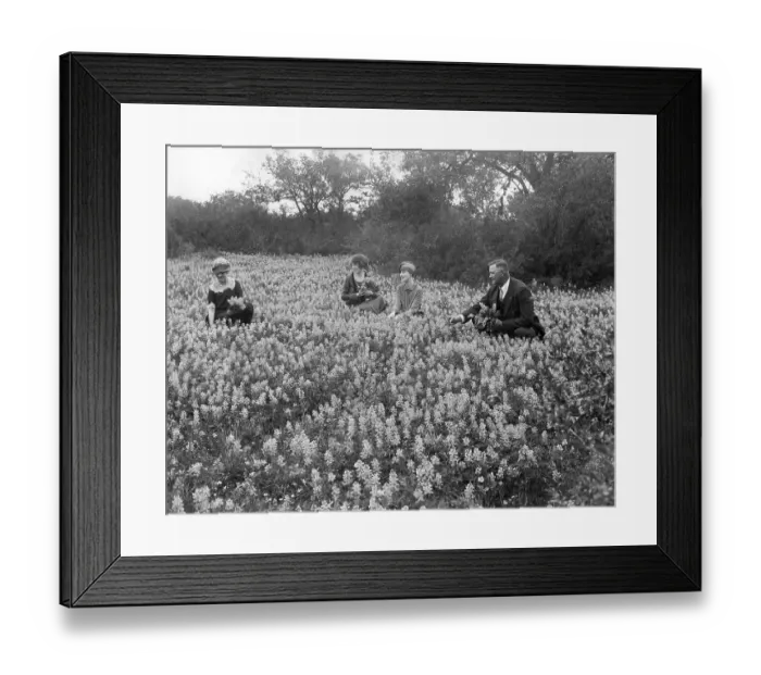 Framed Print : Historic photograph, people picking flowers