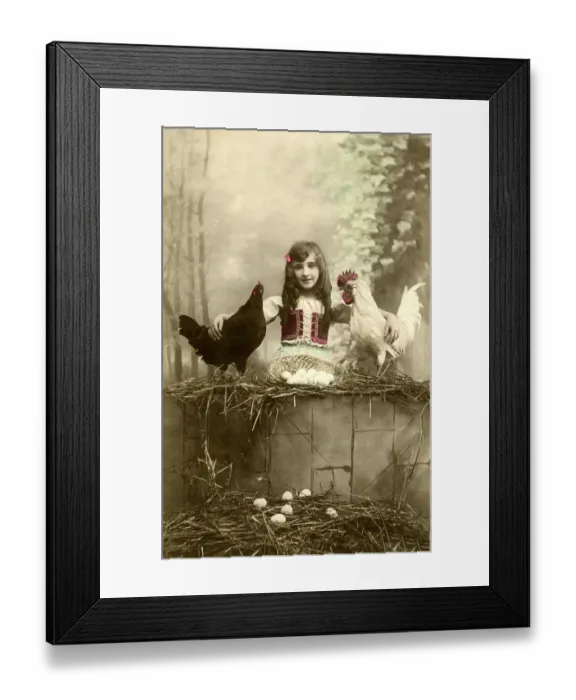 Framed Print : Historic photograph, girl with two chickens Framed Print : Historic photograph, girl with two chickens
