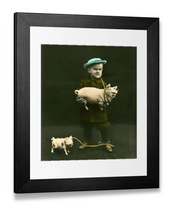 Framed Print : Historic photograph, boy with a pig, around 1912