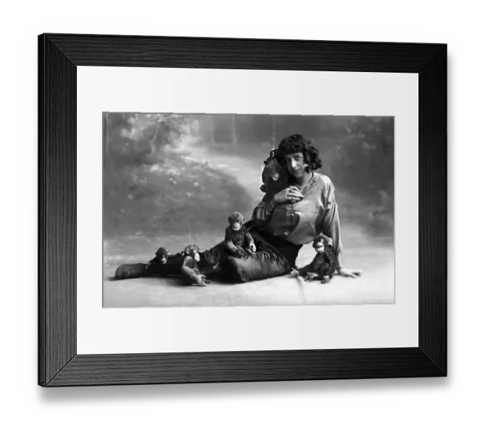 Framed Print : Historic photograph, woman with toy monkeys Framed Print : Historic photograph, woman with toy monkeys