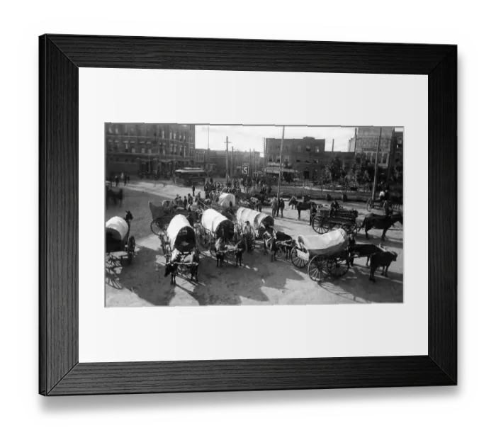 Framed Print : Horse-drawn carts, historic photograph Framed Print : Horse-drawn carts, historic photograph