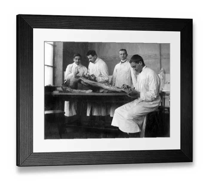 Framed Print : Anatomy instruction, historical image, ca. 1929 Framed Print : Anatomy instruction, historical image, ca. 1929
