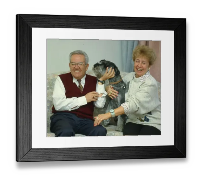 Framed Print : Older couple playing with medium schnauzer