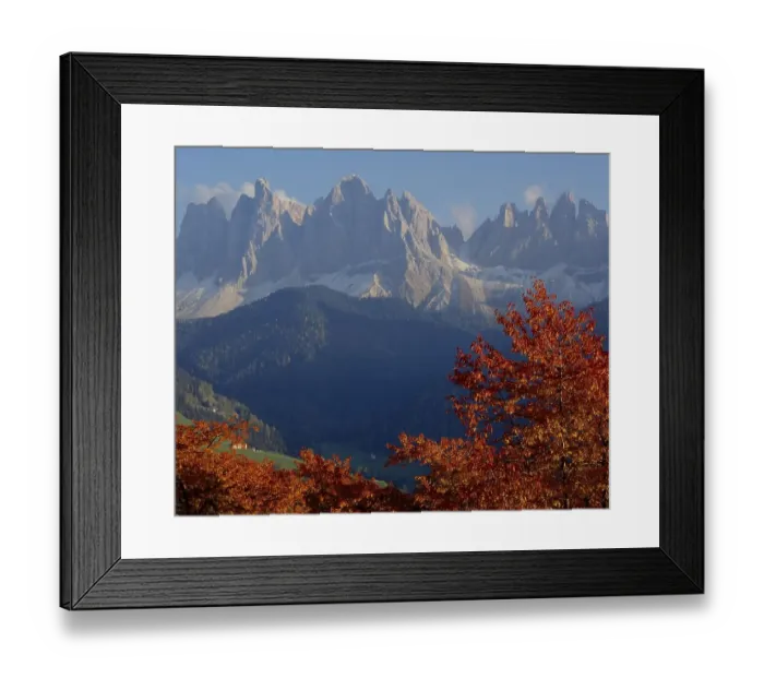 Framed Print : Autumn cherry trees in the Villnoesstal Framed Print : Autumn cherry trees in the Villnoesstal