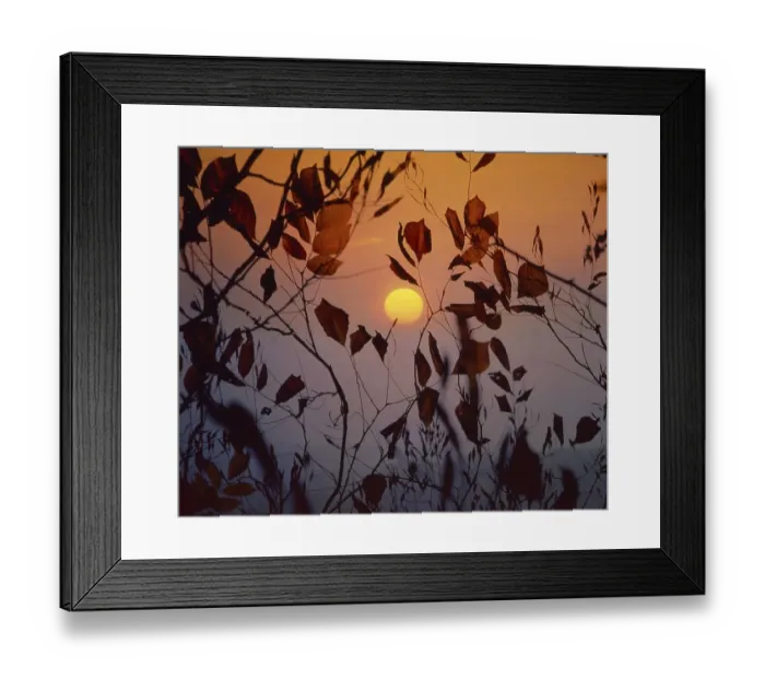 Framed Print : Autumn mood, sundown, the red sun
