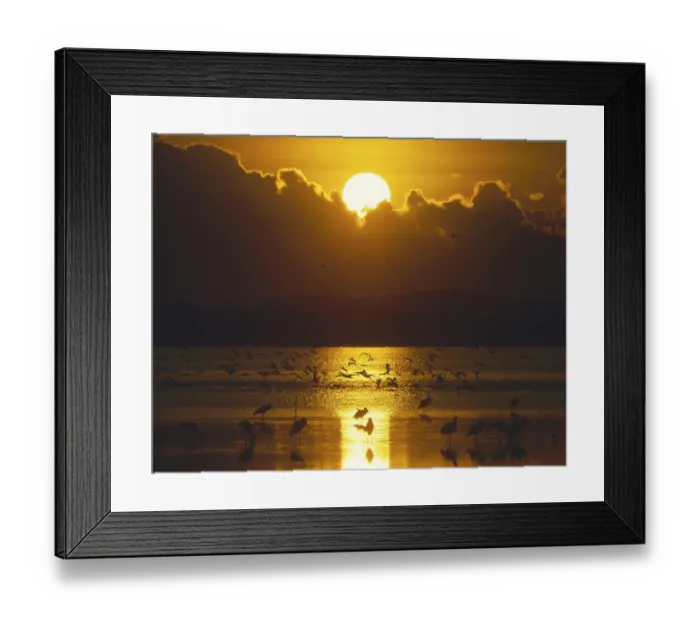 Framed Print : Dusk, mood, sundown in the Bundala National park