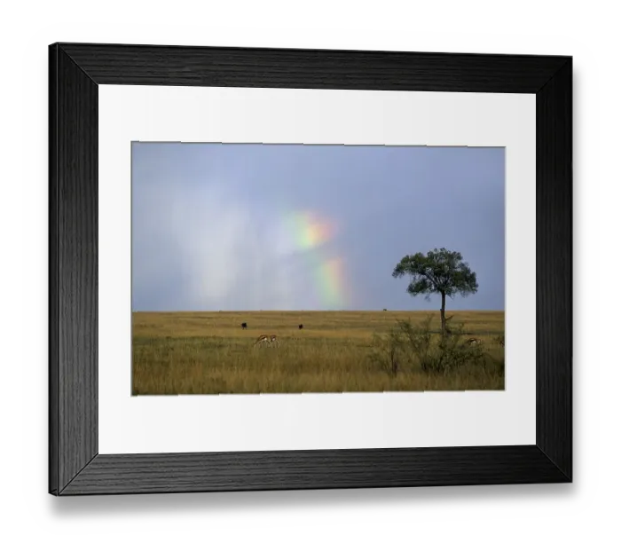 Framed Print : Sky dog reflection, rainbow in the desert