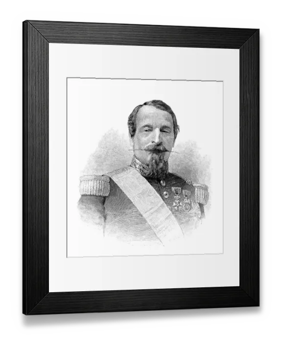 Framed Print : Louis-Napoleon Bonaparte (1808-1873) was the President of the French Second Republic and as Napoleon III