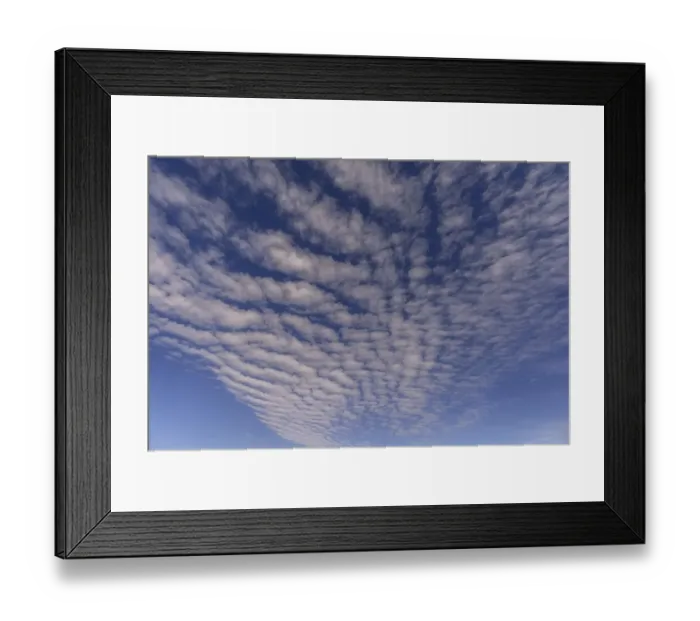 Framed Print : Cloud formations (Altocumulus undulatus) Framed Print : Cloud formations (Altocumulus undulatus)