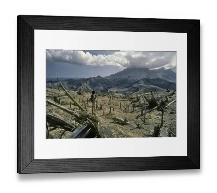 Framed Print : Many Fallen Timbers, Mt. St. Helens Aftermath 1980