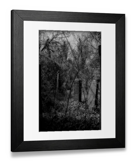 Framed Print : GDR, Berlin, 27.04.1987, Jewish cemetery Weissensee Framed Print : GDR, Berlin, 27.04.1987, Jewish cemetery Weissensee
