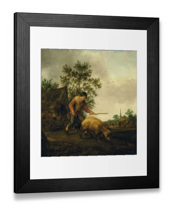 Framed Print : Farmer driving a pig to pasture