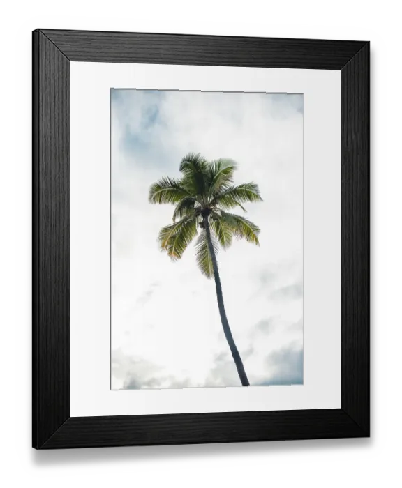Framed Print : Palm tree at a hawaiian beach. Fashion