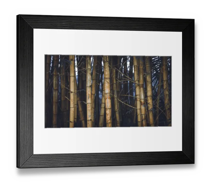 Framed Print : Bamboo spot in the Road to Hana trip in Maui