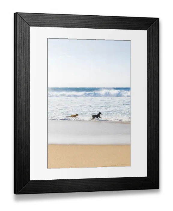 Framed Print : Dogs running and having having fun on the beach shore