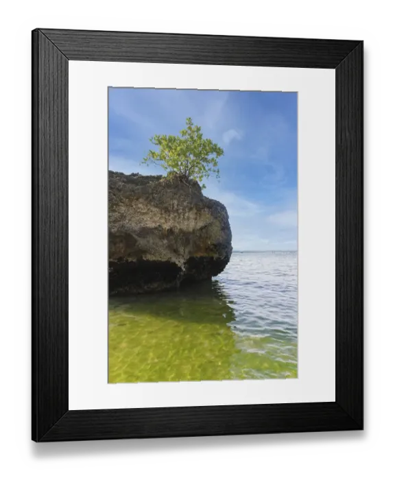 Framed Print : A large rock on the shore on a sunny day in Padang Padang Beach