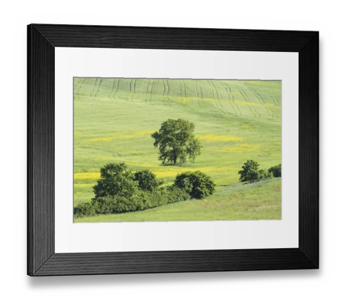 Framed Print : Landscape around Pienza, Val dOrcia