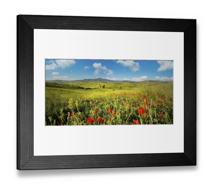 Framed Print : Landscape at sunrise around Pienza