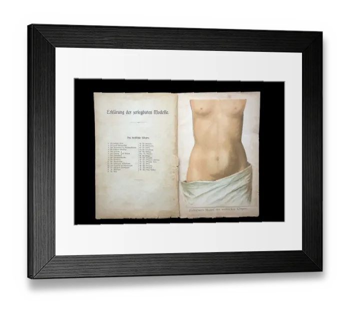 Framed Print : Dismountable model of a female body