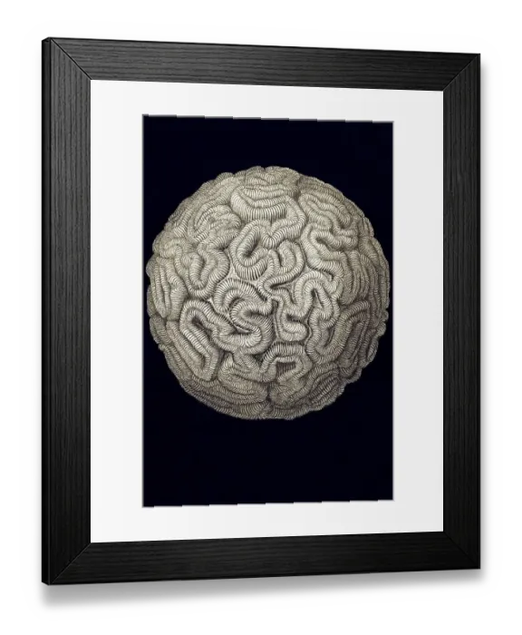 Framed Print : Historical book illustration, Table 9 Framed Print : Historical book illustration, Table 9