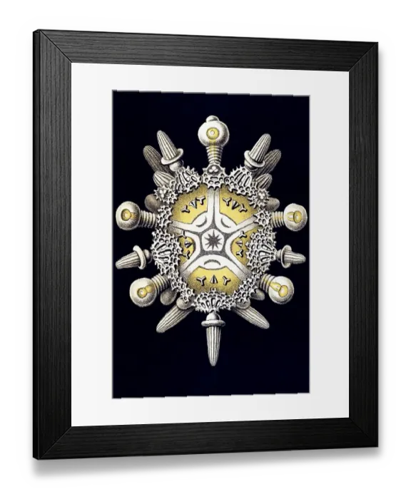 Framed Print : Historical book illustration, Table 30