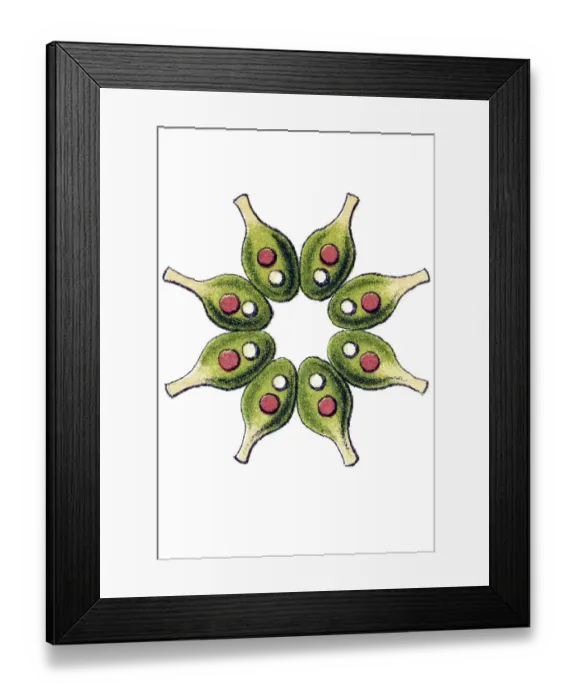 Framed Print : Historic illustration, Melethallia (Melethallia)