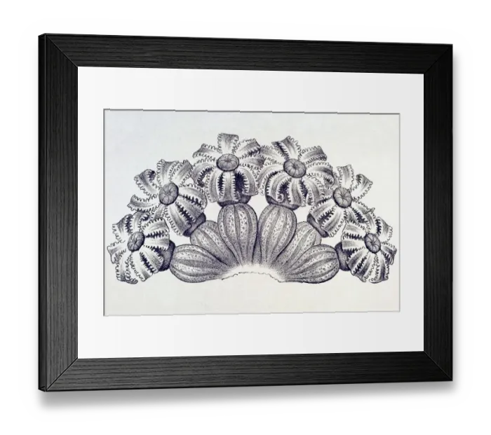 Framed Print : Historic illustration, tablet 19