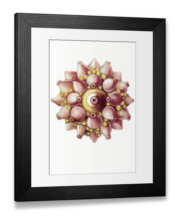 Framed Print : Historic illustration, tablet 17 Framed Print : Historic illustration, tablet 17