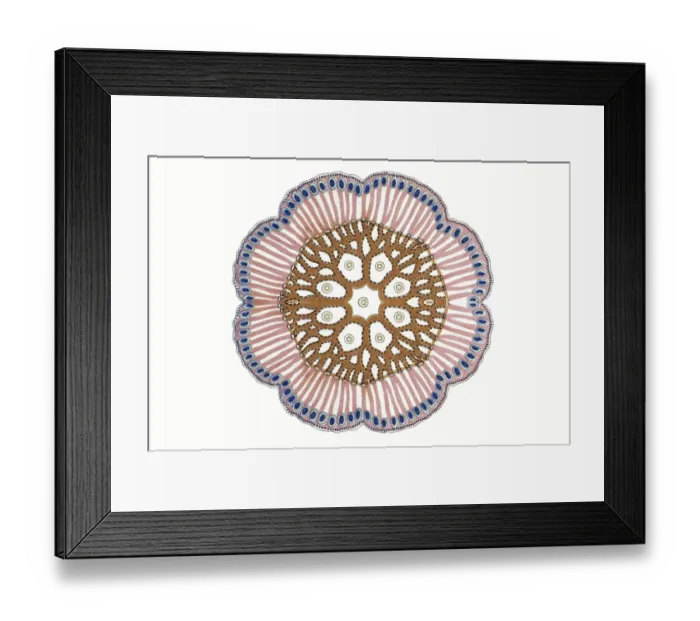 Framed Print : Historic illustration, tablet 17 Framed Print : Historic illustration, tablet 17