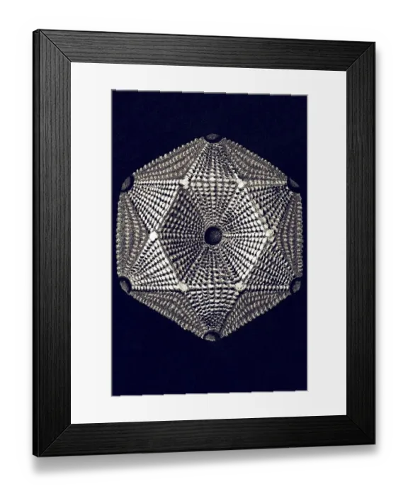 Framed Print : Historic illustration, tablet 9