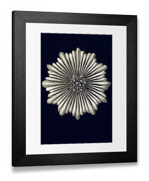 Framed Print : Historic illustration, tablet 9