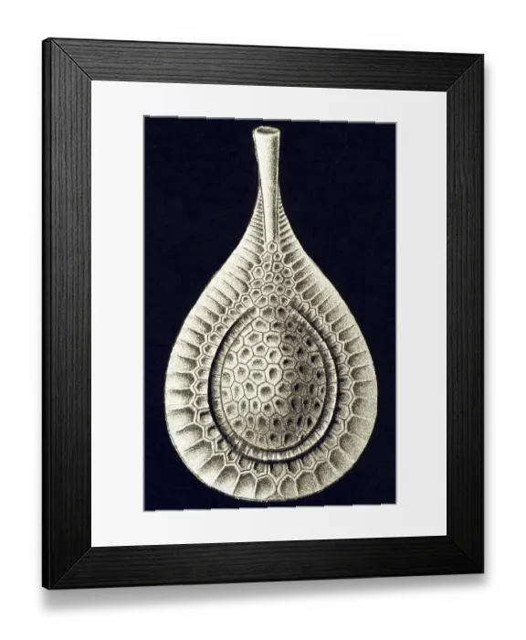 Framed Print : Historic illustration, tablet 2