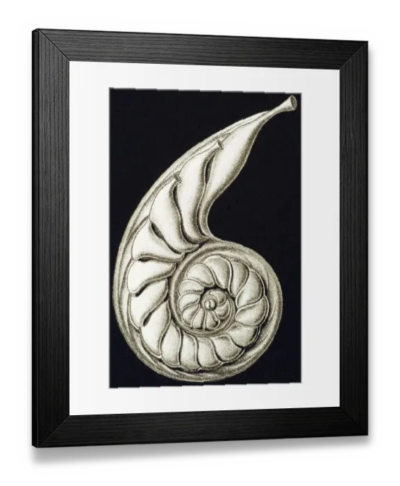 Framed Print : Historic illustration, tablet 2 Framed Print : Historic illustration, tablet 2