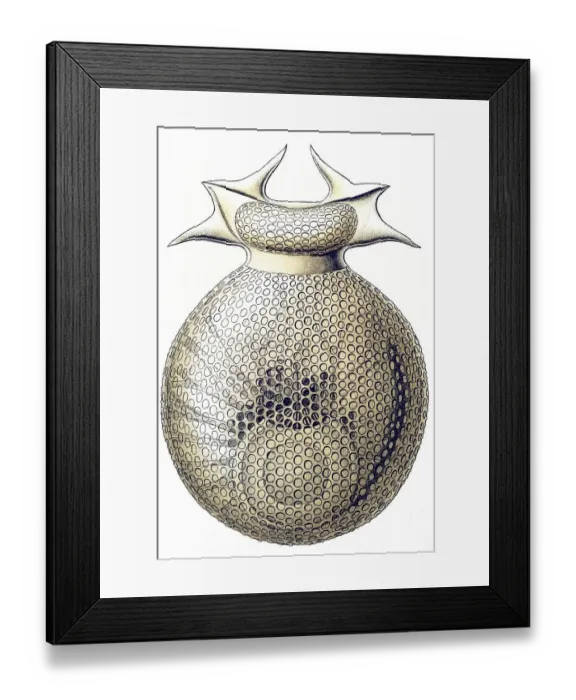 Framed Print : Historic illustration, tablet 1 Framed Print : Historic illustration, tablet 1