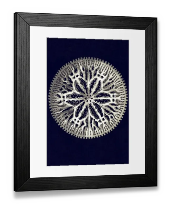 Framed Print : Historic illustration, tablet 9 Framed Print : Historic illustration, tablet 9