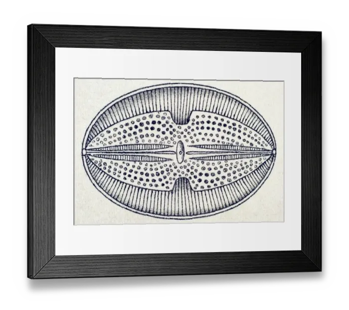 Framed Print : Historic illustration, tablet 4 Framed Print : Historic illustration, tablet 4