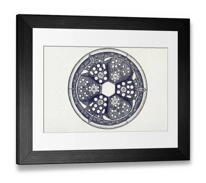 Framed Print : Historic illustration, tablet 4