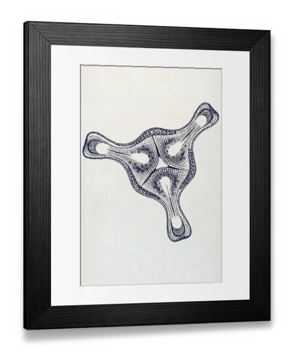 Framed Print : Historic illustration, tablet 4