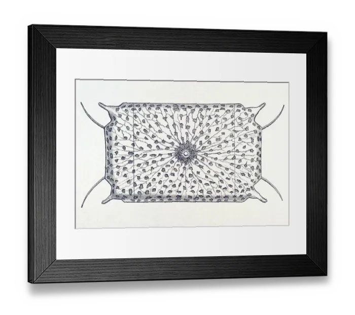 Framed Print : Historic illustration, tablet 4