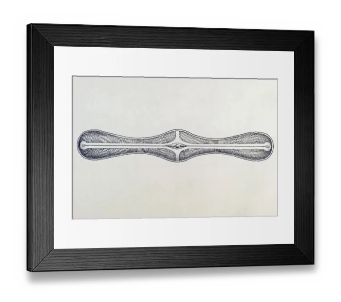Framed Print : Historic illustration, tablet 4