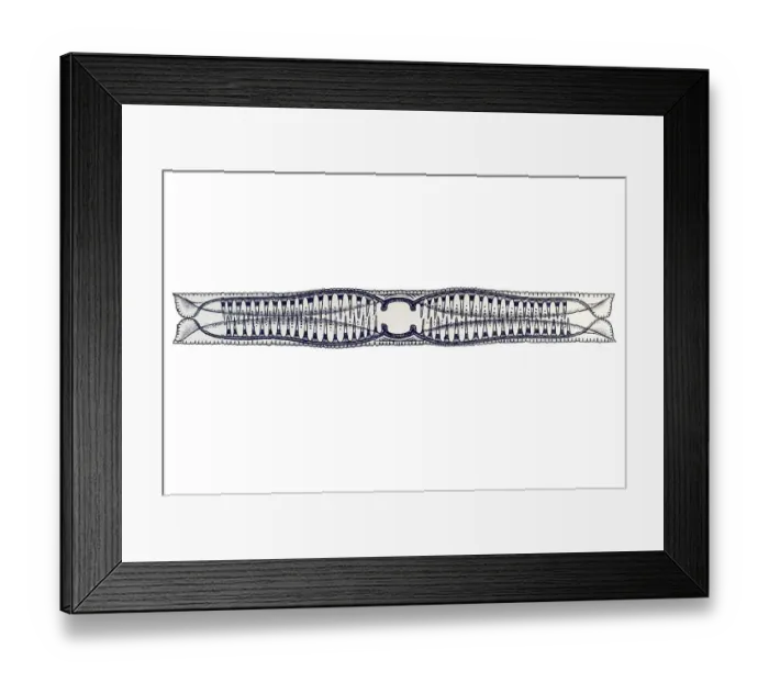 Framed Print : Istorical illustration, tablet 4 Framed Print : Istorical illustration, tablet 4
