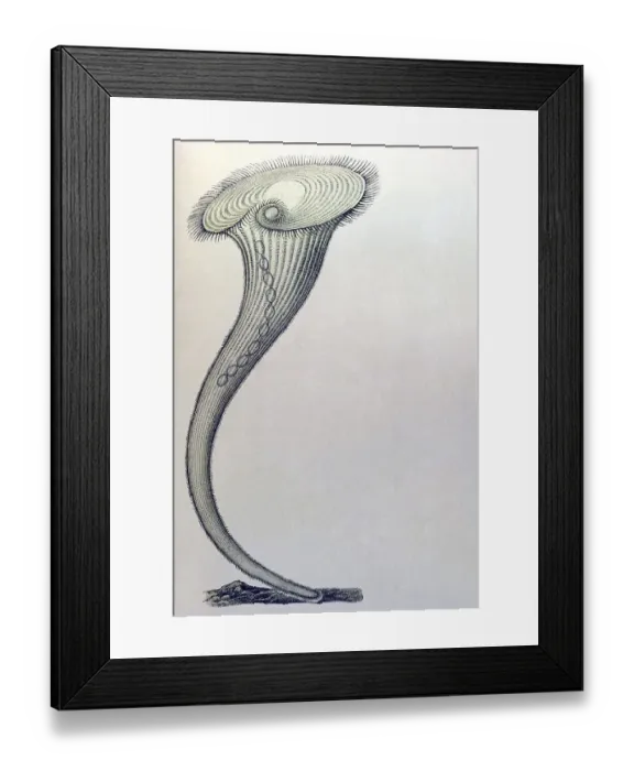 Framed Print : Historic illustration, tablet 3