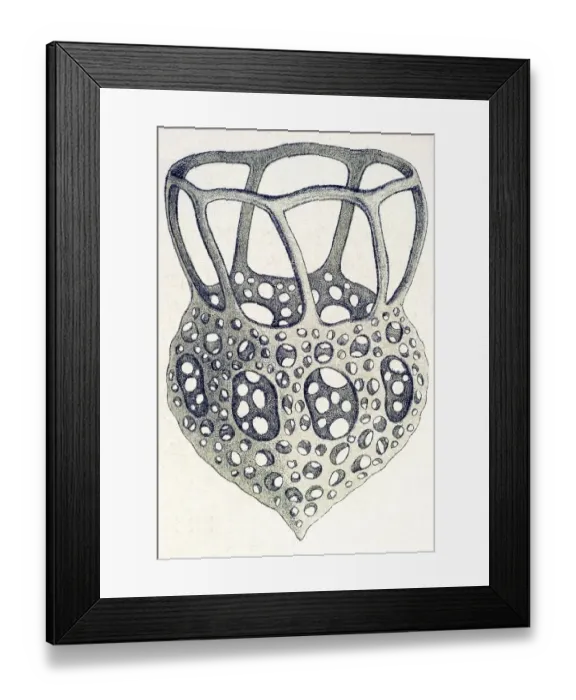 Framed Print : Historic illustration, tablet 3 Framed Print : Historic illustration, tablet 3