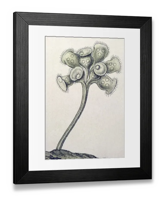 Framed Print : Historic illustration, tablet 3 Framed Print : Historic illustration, tablet 3