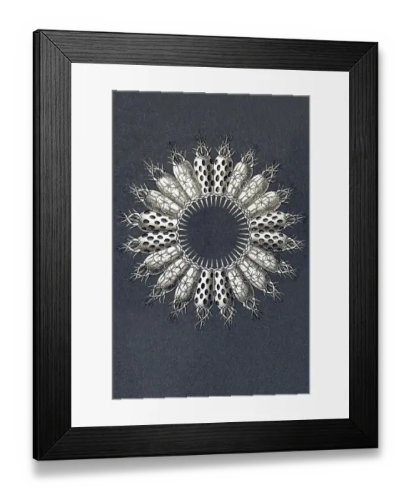 Framed Print : Historic illustration, tablet 5 Framed Print : Historic illustration, tablet 5