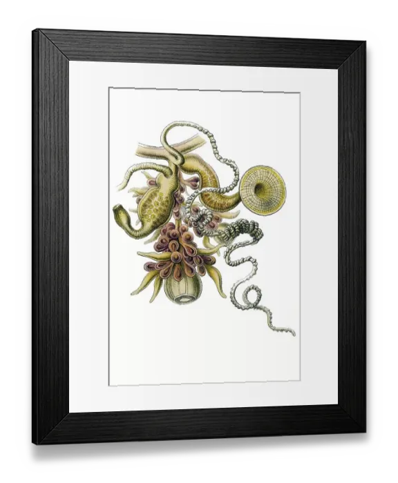Framed Print : Historic illustration, tablet 7 Framed Print : Historic illustration, tablet 7