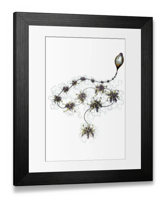 Framed Print : Historic illustration, tablet 7 Framed Print : Historic illustration, tablet 7