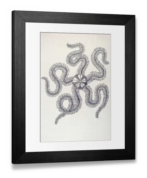 Framed Print : Historic illustration, tablet 10