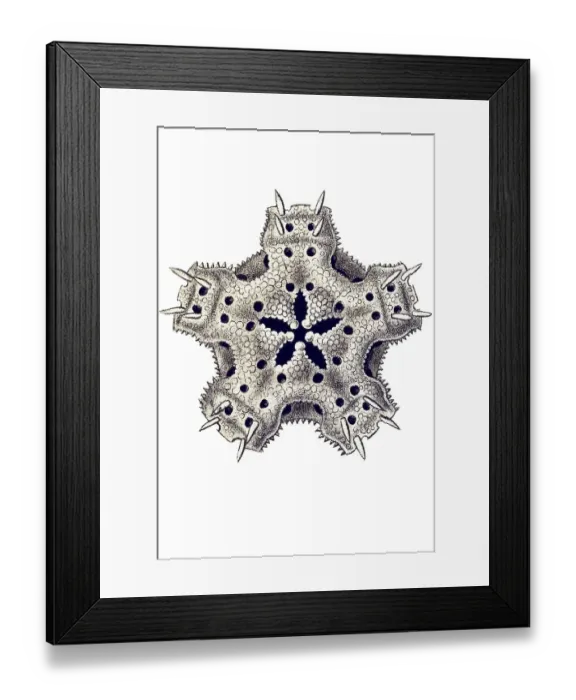 Framed Print : Historic illustration, ablet 10