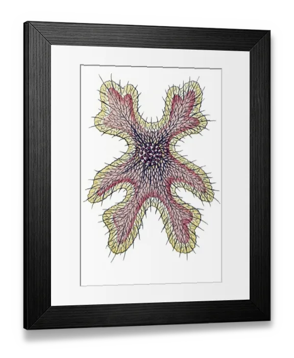 Framed Print : Historic illustration, tablet 11 Framed Print : Historic illustration, tablet 11